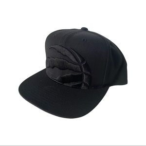 Toronto Raptors SnapBack Hat